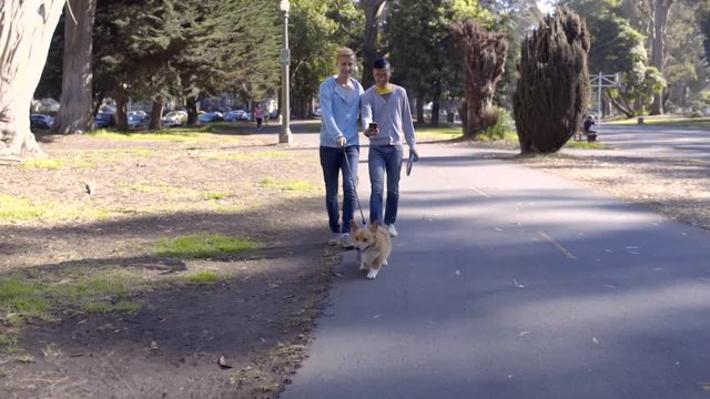 Gay Couple Walk Their Corgi Dog In The Park, Man Takes Photos Or Video Of Dog With Phone