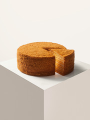 close up view of nice fresh yummy honey cake on white back