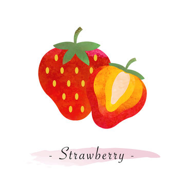 Colorful watercolor texture vector healthy fruit strawberry