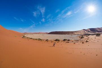 Fototapeta na wymiar Tourist walking on the scenic dunes of Sossusvlei, Namib desert, Namib Naukluft National Park, Namibia. Adventure and exploration in Africa.
