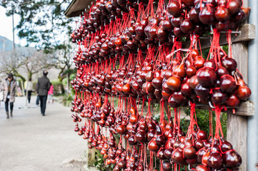 Naklejka premium Red dry bottle gourd hanging on bar, item for luck in the temple.