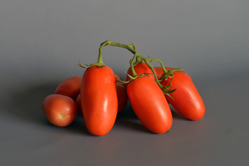 pomodori San Marzano,Campania,italia  gruppo di pomodori San Marzano, si presentano a grappolo, still life su sfondo grigio-azzurro