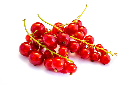 Rot Rote Johannisbeere Johannisbeeren isoliert freigestellt auf wei&szlig;en Hintergrund, Freisteller

