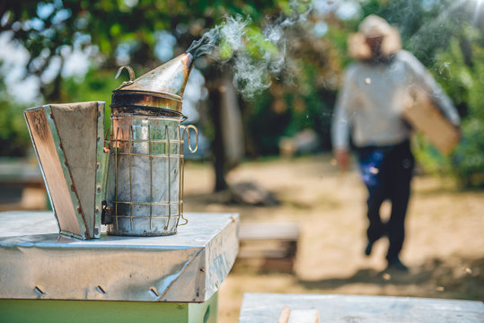 50,803 BEST Beekeeper IMAGES, STOCK PHOTOS & VECTORS | Adobe Stock