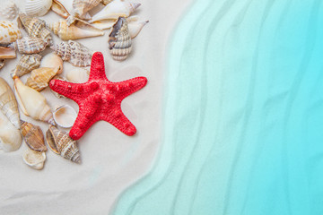 Fototapeta na wymiar Summer background with white sand, starfish and shells
