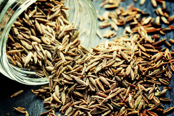 Zira or cumin, selective focus