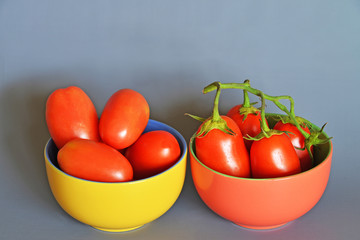 pomodori San Marzano,Campania,italia  gruppo di pomodori San Marzano, si presentano a grappolo, still life su sfondo grigio-azzurro