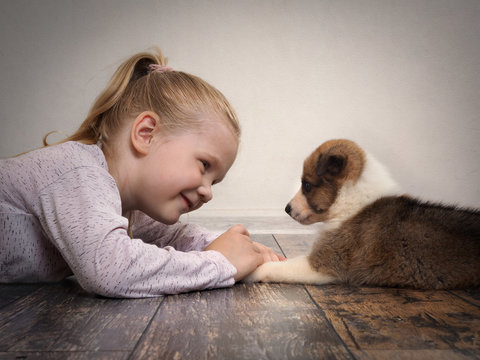 Happy Child And A Small Puppy Lying On The Floor Facing Each Other. Girl Meets Dog