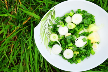 Ideal salad