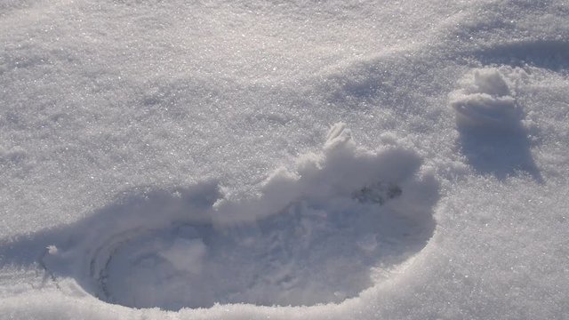 Closeup of male legs walking on the snow in winter. A trail of shoes left in the snow
