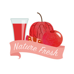 Colorful watercolor texture vector nature organic fresh fruit juice banner red cape gooseberry physalis