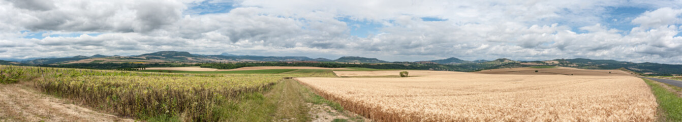 Fototapeta na wymiar vue panoramique de l'agriculture en région Auvergne