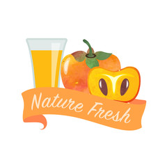 Colorful watercolor texture vector nature organic fresh fruit juice banner persimmon