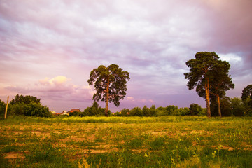 Tyumen, Russia. The rustic landscape with trees and colorful sky at the sunset.