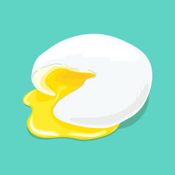 Poached egg. Fresh delicious egg poached and cut, runny yellow yolk. Yummy breakfast. Vector hand drawn illustration.
