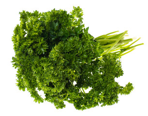 A bunch of fresh green parsley on white background