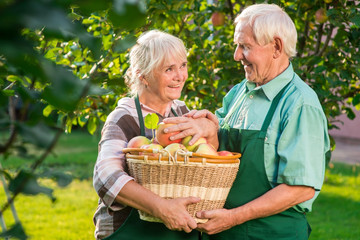 Elderly couple holding apples. Man and woman touching hands. Let me help you.