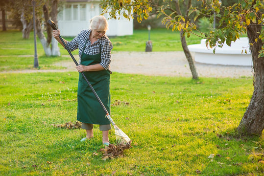 Senior lady working with rake. Old woman in apron outdoors. Spring garden clean up tips.