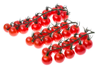 Branch of red ripe cherry tomatoes with water drops