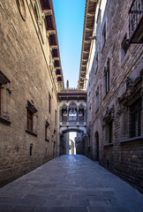 Fototapeta na wymiar Neogothic bridge at Carrer del Bisbe in Barcelona