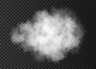 Realistic white  smoke cloud  isolated on transparent background.