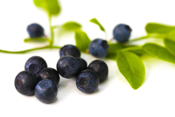 Stack of blueberries isolated on white with clipping path