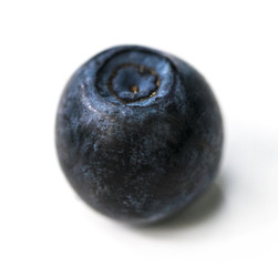 Single blueberry berry isolated on white background. One blueberry berry with clipping path