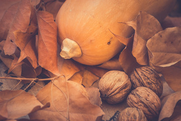 Gourd pumpkin, walnuts, dry dead autumn leaves, brown, yellow, orange on weathered wood background, composition, fall, Thanksgiving, Halloween, toned