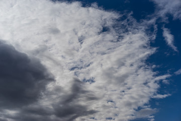 blue sky with clouds