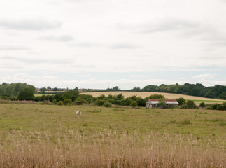 Stock Photo - inland country scene in harwich felixstowe essex uk england no people farm