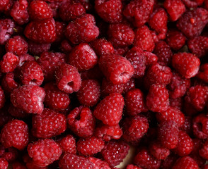 Raspberry fruits background. Summer season backdrop.