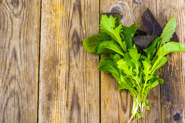 Salad mix of fresh different leaves.