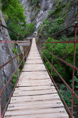 plank bridge