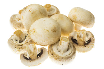 Fresh unwashed champignons on white background.