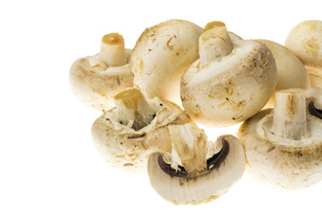 Fresh unwashed champignons on white background.