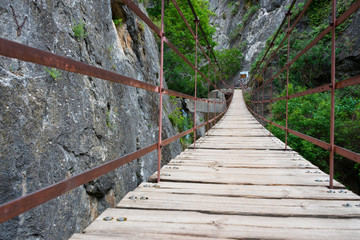plank bridge