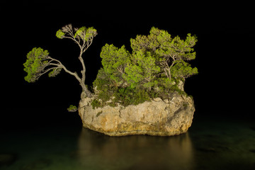 Lonely Croatian pine island
