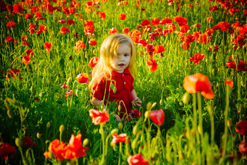 field of flower with child or little boy