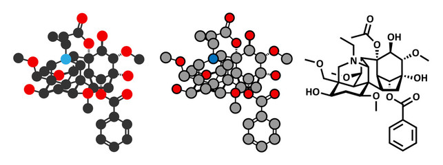Aconitine molecule. Toxin present in Aconitum plants (monkshood).