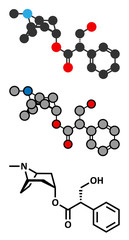 Hyoscyamine alkaloid molecule. Herbal sources include henbane, mandrake, jimsonweed, deadly nightshade and tomato.