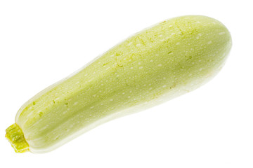Young zucchini on white background. 