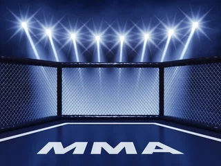 Crédence de cuisine en verre imprimé Arts martiaux Cage MMA éclairée par des projecteurs, événement nocturne de combat d& 39 arts martiaux mixtes
