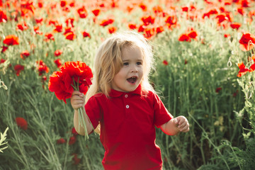small boy or child in field of poppy seed