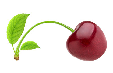 Cherry isolated. One red cherry with leaf isolated on white background with clipping path