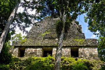 Tikal Abstract