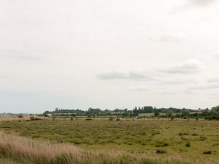 Fototapeta na wymiar Stock Photo - country landscape animals farm in distance no people empty harwich felixstowe essex uk