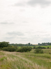 Fototapeta premium Stock Photo - countryside scene no people empty animals farm harwich felixstowe essex england uk