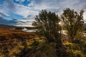 Fototapeta na wymiar Morning Reflection on Lake with Trees and Heather, Scotland UK