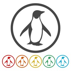 Penguin Icons set - vector Illustration