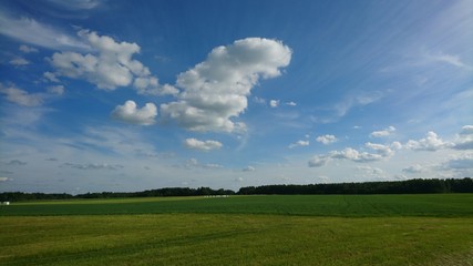 Landscape with soft clouds in sky over meadow 